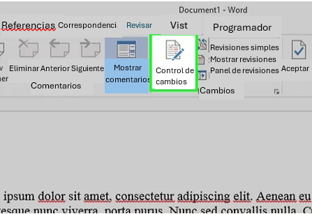 Word document in Spanish showing how to select tracked changes
