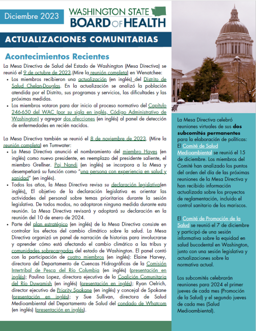 Picture of December Newsletter in Spanish